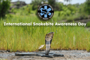 International Snakebite Awareness Day — Asclepius...