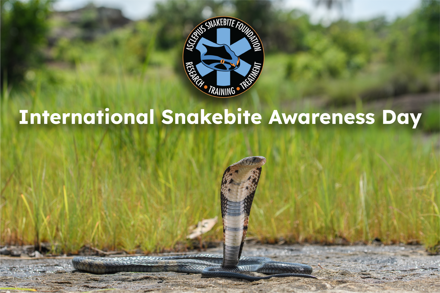 International Snakebite Awareness Day — Asclepius...