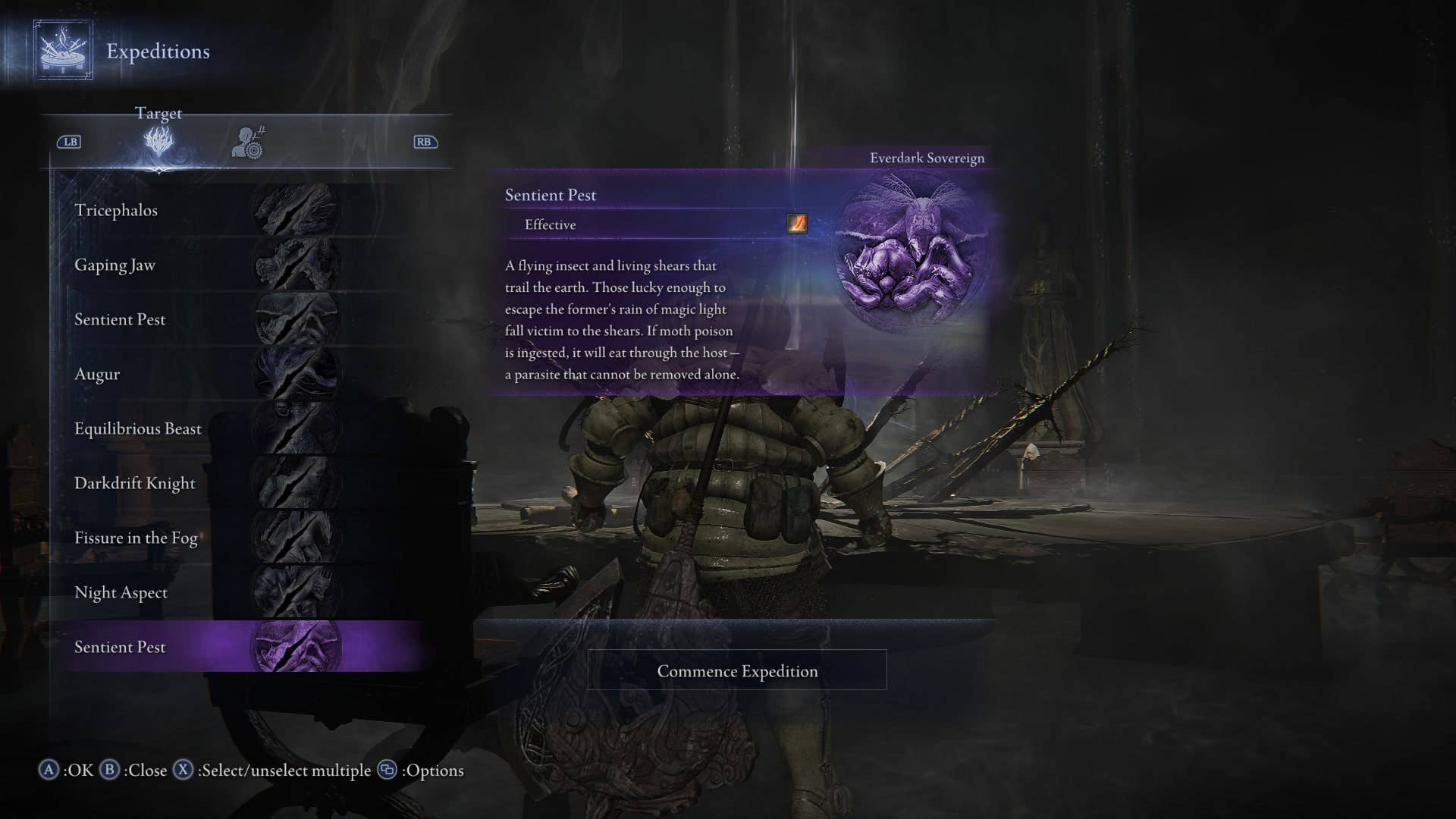 How to beat Everdark Sovereign Sentient...