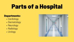 Vocabulary about Hospitals – TED IELTS