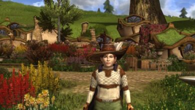 On The Horns of a Dilemma: LOTRO’s (Imaginary) Transfers