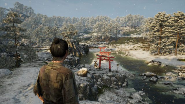 Sengoku Dynasty Deep Look